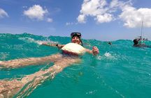 Private Luxury Catamaran to Saona or Catalina Island
