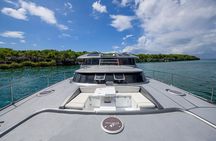 Private Luxury Catamaran to Saona or Catalina Island