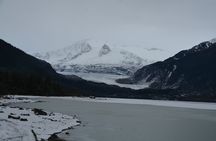 Mendenhall Glacier and Whale Watching Tour