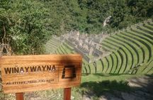 Inca Trail 02 Days to MachuPicchu Private Service