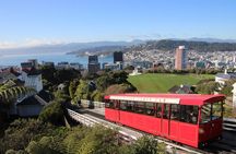 Discover Wellington 3 hour City Tour 