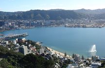Discover Wellington 3 hour City Tour 