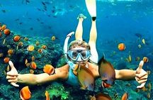 Amazing Snorkeling at Blue Lagoon