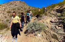 Scottsdale Bachelorette Party Guided Hike 
