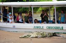 Crocodile Safari Expedition & Carara National Park. Private Tour