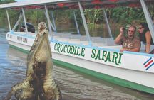 Crocodile Safari Expedition & Carara National Park. Private Tour