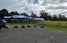 Huon Valley Wine and Cider Tour - Hobart and SE Tasmania