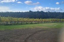 Huon Valley Wine and Cider Tour - Hobart and SE Tasmania