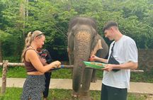 6 Hours Elephant Care and Jungle Tour by 4WD in Koh Samui
