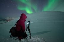 Tromsø: Express Aurora Hunt with Wandering Owl