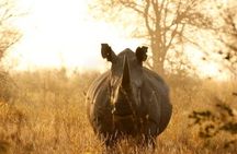 4 Days Safari Tour in Tanzania’s most Iconic Parks