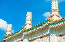 Private Taipei Tour: Dihua St., National Palace Museum, Beitou