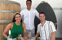 Private Wine Tasting-Wine Museum- Snacks: 2, 3 or 4 Wineries