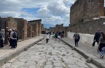 Pompeii Guided Tour from Naples with Transport and Entrance Included