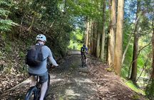 Amanohashidate Sand bar & culture e-bike tour