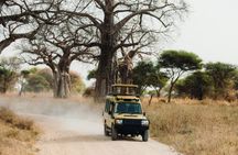 5 Days Guided Safari along Tanzania's Northern Circuit