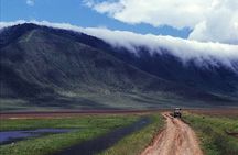 5 Days Guided Safari along Tanzania's Northern Circuit