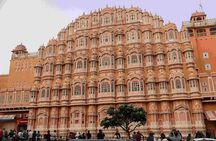 Jaipur Full-Day Guided Sightseeing Tour