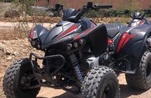 Private Quad Safari in the Agadir Desert with Pickup