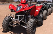 Private Quad Safari in the Agadir Desert with Pickup