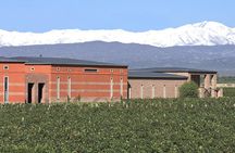 Private Luján de Cuyo Wine-Tasting Tour 