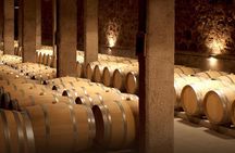 Private Luján de Cuyo Wine-Tasting Tour 