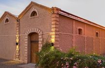 Private Luján de Cuyo Wine-Tasting Tour 