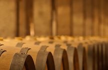 Private Luján de Cuyo Wine-Tasting Tour 
