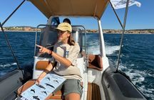 Small Group Dolphin Tour on Hybrid Boat in Sotogrande