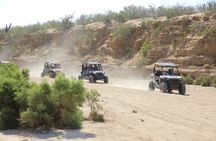 Combo Off Road 4x4 UTV Camel Ride Lunch and Tequila Tasting