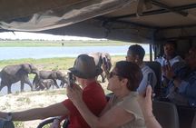 The Chobe Safari Day trip from Livingstone 