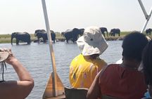 The Chobe Safari Day trip from Livingstone 