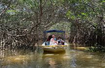 Boat tour through the mangroves of Celestún and Playa from Merida