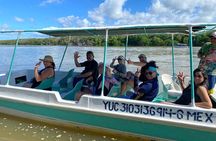 Boat tour through the mangroves of Celestún and Playa from Merida