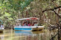 Boat tour through the mangroves of Celestún and Playa from Merida