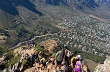 Cape Towns Iconic Table Mountain Guided Hike Adventure