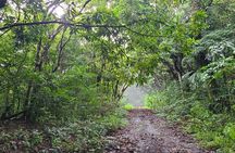 Off Road Jungle Safari Grand Tour Adventure 