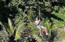Zipline, Hiking and Suspension Bridges Adventure in Roatan 