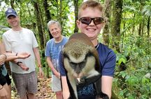 Grenada tropical escape Customizable Island Tour, nature explore