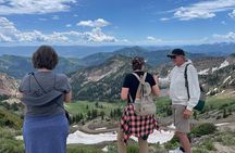 Snowbird Summer Excursion