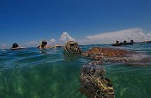 Private Experience in Akumal with Snorkeling 