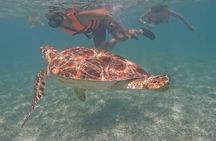 Private Experience in Akumal with Snorkeling 