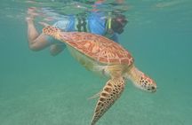 Private Experience in Akumal with Snorkeling 