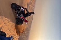 Evening Desert Safari with BBQ Buffet Camel Ride and Arabic Shows