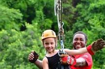 Roatan Sloths in Natural Habitat: ATV Buggy Tour Zipline & Beach 
