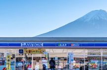 One day mountain Fuji & Hakone tour with English hindi bilingual 