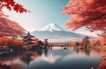 One day mountain Fuji & Hakone tour with English hindi bilingual 