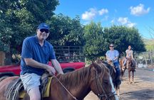 Horse Back Riding With Danitours Montain Rural Areas And Sand Beach