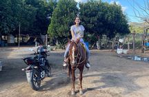 Horse Back Riding With Danitours Montain Rural Areas And Sand Beach