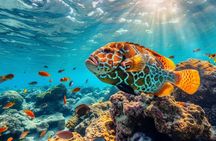 Atv and Snorkeling Combo Tour 